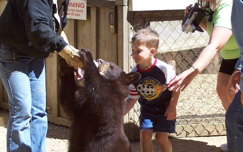 My Mom holding my arm, while I (a child) am trying to pet a bear cub at the zoo.